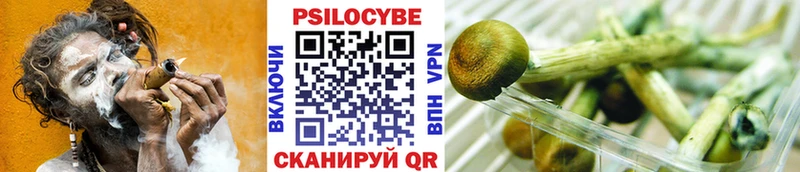 гидра ссылки  Гурьевск  Псилоцибиновые грибы ЛСД 